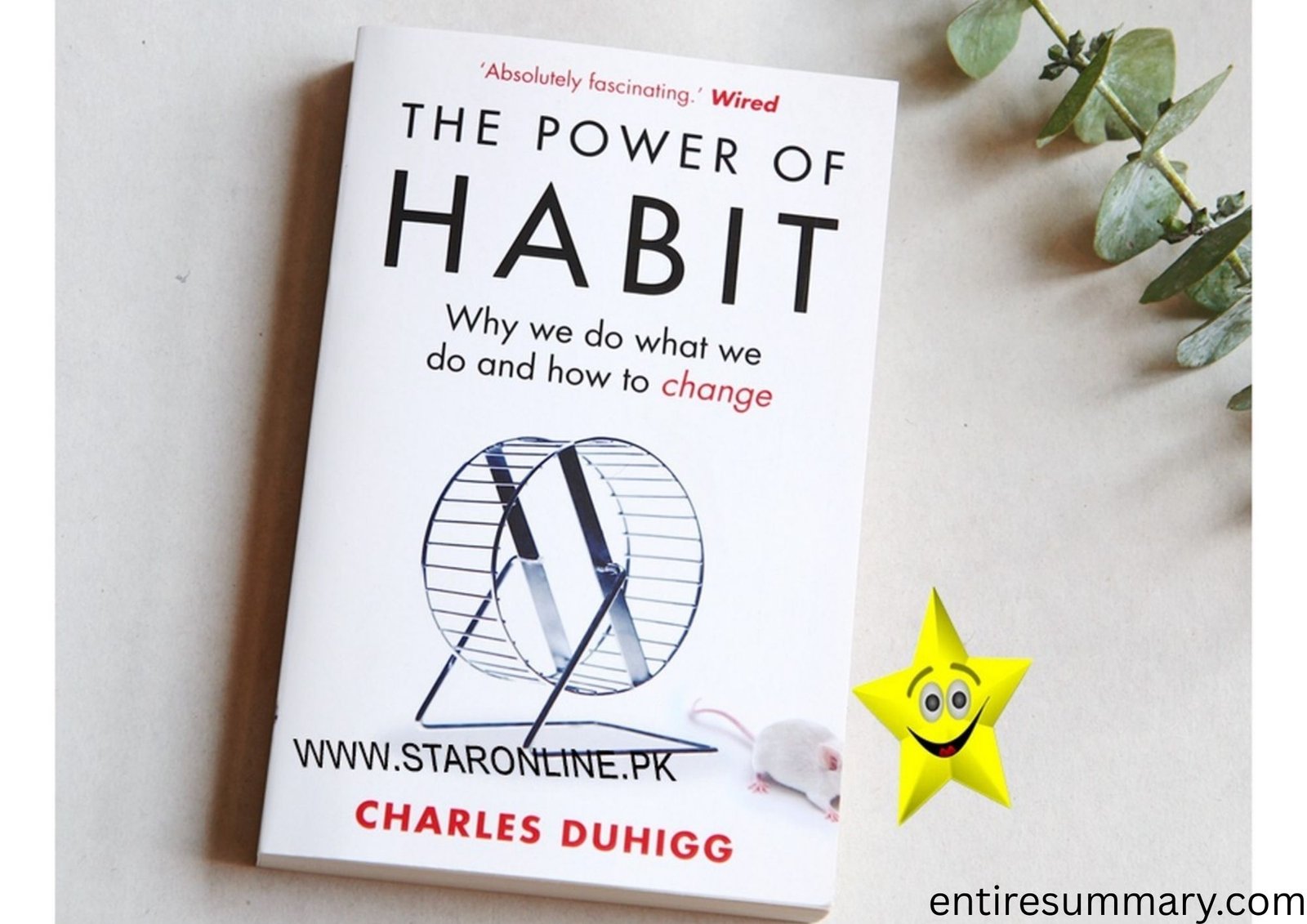 The Power of Habit